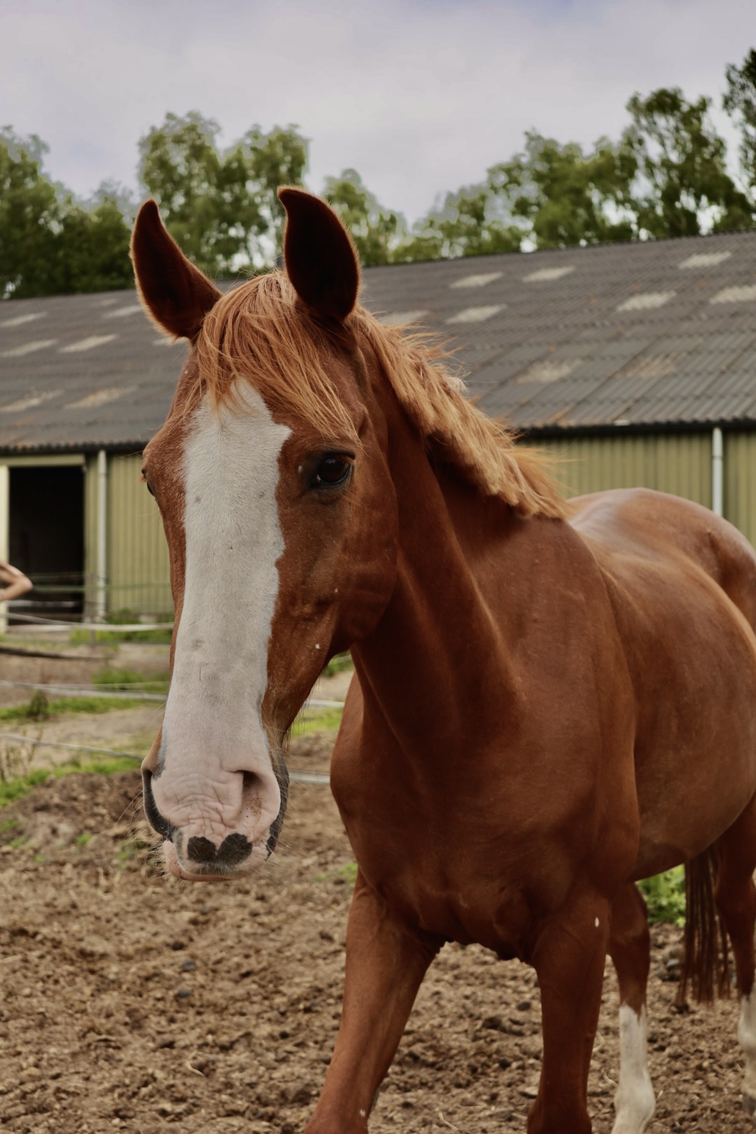 20250628_113340320_iOS